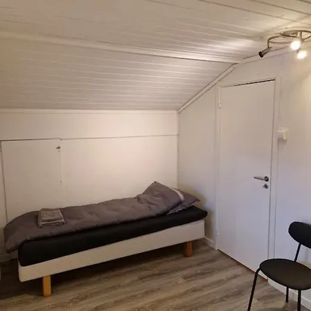 Pen Og Stor Enebolig I 3*